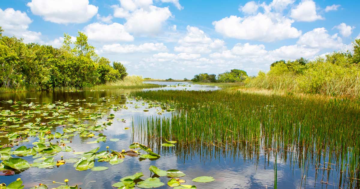 Where to Stay close to Everglades National Park, FL
